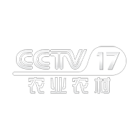 CCTV17